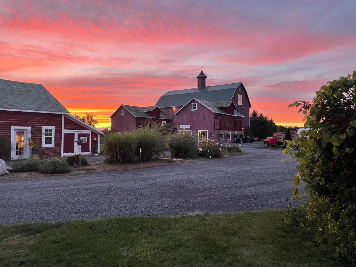The Eddie Hotel And Farm Bloomfield Extérieur photo
